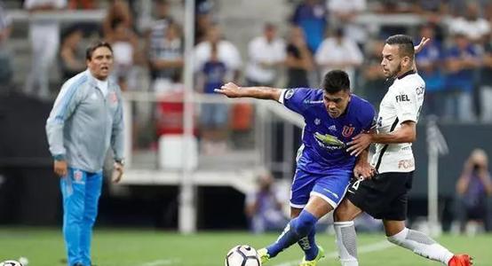 🌪28加拿大预测最准网站在线🏉，加拿大最准体育预测网站全揭秘——实时分析与专业推荐？