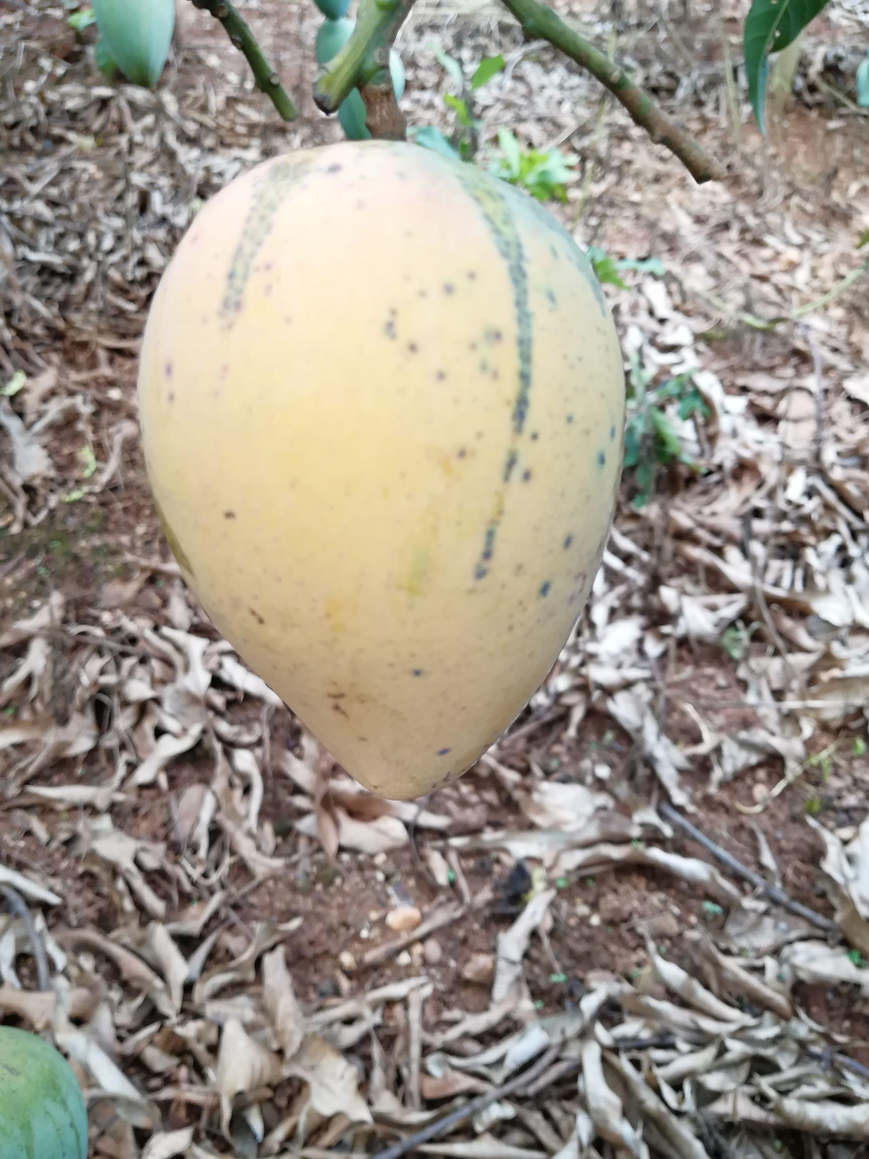 🍡兴旺官网登录🦑-🔥探索兴旺官网新体验，开启美味之旅🦑