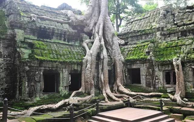 探索吉祥坊的神秘之旅，揭秘官方网址的独特魅力✅✅✅