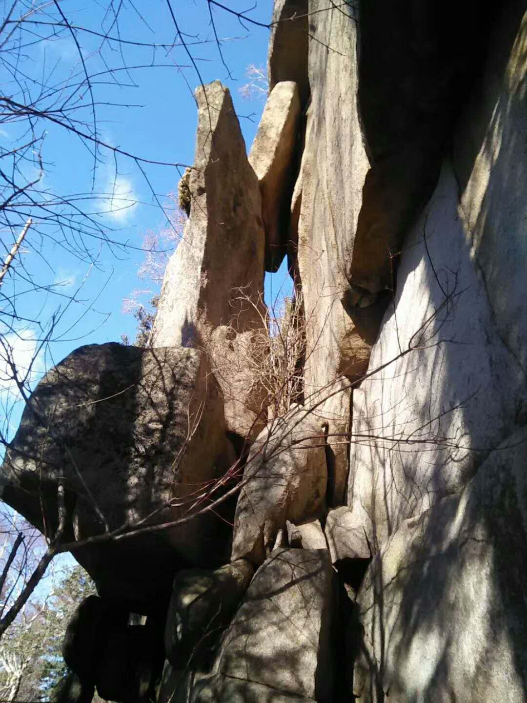 极乐园，梦幻之境的官方门户✅✅✅